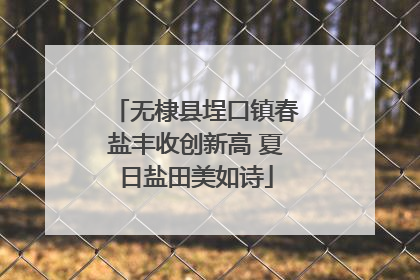 无棣县埕口镇春盐丰收创新高 夏日盐田美如诗