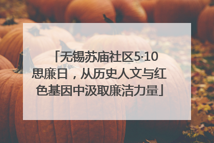 无锡苏庙社区5·10思廉日，从历史人文与红色基因中汲取廉洁力量