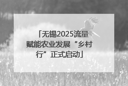 无锡2025流量赋能农业发展“乡村行”正式启动