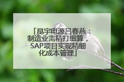 昆宇电源吕春燕：制造业需精打细算，SAP项目实现精细化成本管理