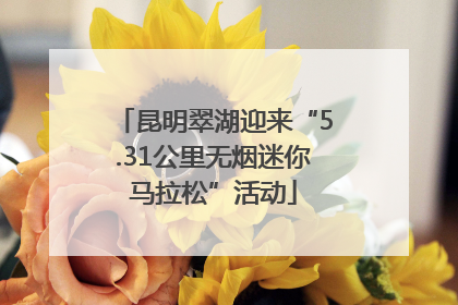 昆明翠湖迎来“5.31公里无烟迷你马拉松”活动