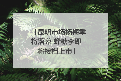 昆明市场杨梅季将落幕 蜂糖李即将接档上市