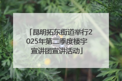 昆明拓东街道举行2025年第二季度楼宇宣讲团宣讲活动