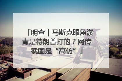 明查｜马斯克眼角淤青是特朗普打的？网传截图是“高仿”