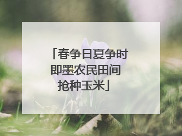 春争日夏争时 即墨农民田间抢种玉米