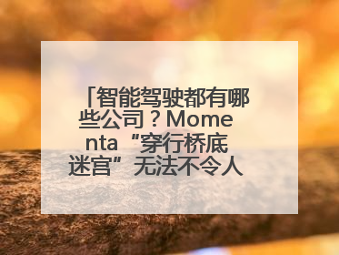 智能驾驶都有哪些公司？Momenta“穿行桥底迷宫”无法不令人印象深刻！