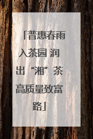 普惠春雨入茶园 润出“湘”茶高质量致富路