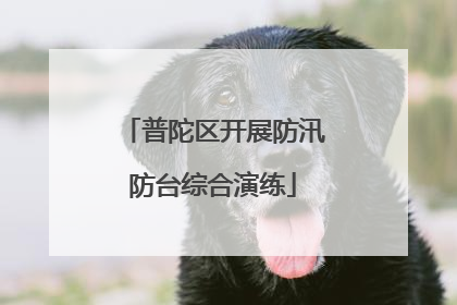 普陀区开展防汛防台综合演练