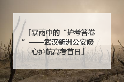 暴雨中的“护考答卷”——武汉新洲公安暖心护航高考首日