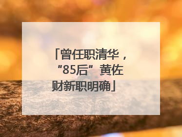 曾任职清华，“85后”黄佐财新职明确