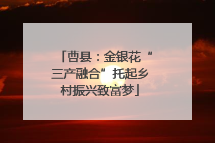 曹县：金银花“三产融合”托起乡村振兴致富梦