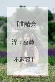 曲靖会泽：蔷薇不迟暮