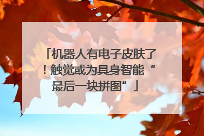机器人有电子皮肤了！触觉或为具身智能“最后一块拼图”
