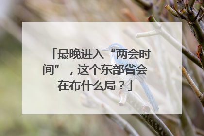 最晚进入“两会时间”，这个东部省会在布什么局？