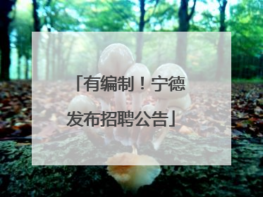 有编制！宁德发布招聘公告