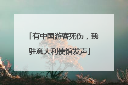 有中国游客死伤，我驻意大利使馆发声