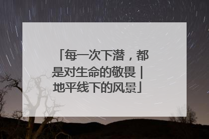 每一次下潜，都是对生命的敬畏｜地平线下的风景