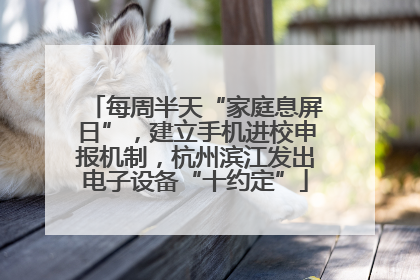 每周半天“家庭息屏日”，建立手机进校申报机制，杭州滨江发出电子设备“十约定”