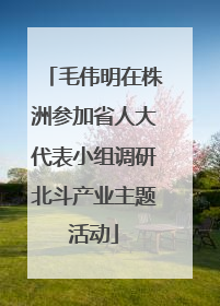 毛伟明在株洲参加省人大代表小组调研北斗产业主题活动