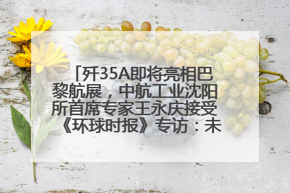 歼35A即将亮相巴黎航展，中航工业沈阳所首席专家王永庆接受《环球时报》专访：未来数量可以有很多
