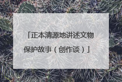 正本清源地讲述文物保护故事（创作谈）