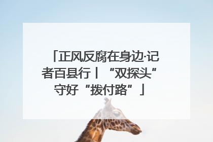 正风反腐在身边·记者百县行丨“双探头”守好“拨付路”