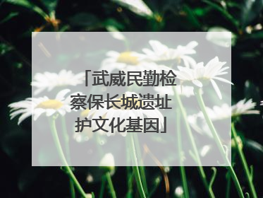 武威民勤检察保长城遗址护文化基因