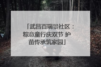 武昌百瑞景社区：粽意童行庆双节 护苗传承筑家园