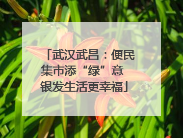 武汉武昌：便民集市添“绿”意 银发生活更幸福
