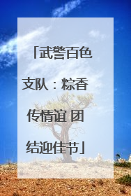 武警百色支队：粽香传情谊 团结迎佳节