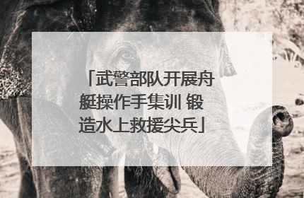武警部队开展舟艇操作手集训 锻造水上救援尖兵