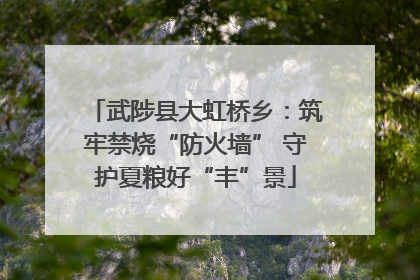 武陟县大虹桥乡：筑牢禁烧“防火墙” 守护夏粮好“丰”景