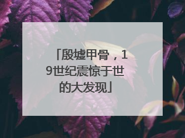 殷墟甲骨，19世纪震惊于世的大发现