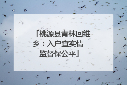 桃源县青林回维乡：入户查实情 监督保公平