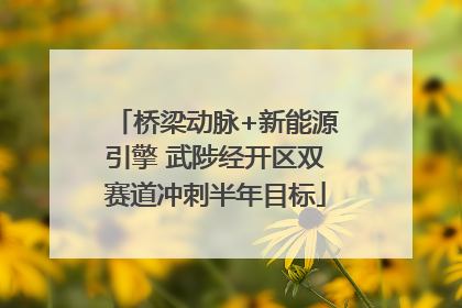 桥梁动脉+新能源引擎 武陟经开区双赛道冲刺半年目标