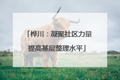 桦川：凝聚社区力量 提高基层整理水平