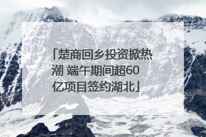 楚商回乡投资掀热潮 端午期间超60亿项目签约湖北