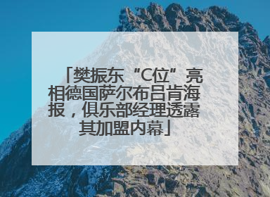 樊振东“C位”亮相德国萨尔布吕肯海报，俱乐部经理透露其加盟内幕