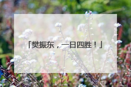 樊振东，一日四胜！