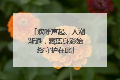 欢呼声起、人潮渐退，藏蓝身影始终守护在此