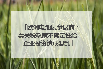 欧洲电池展参展商：美关税政策不确定性给企业投资造成混乱