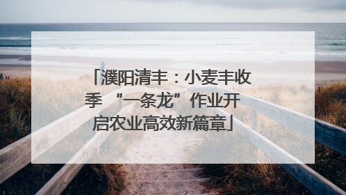 濮阳清丰：小麦丰收季 “一条龙”作业开启农业高效新篇章