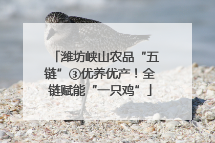 潍坊峡山农品“五链”③优养优产！全链赋能“一只鸡”