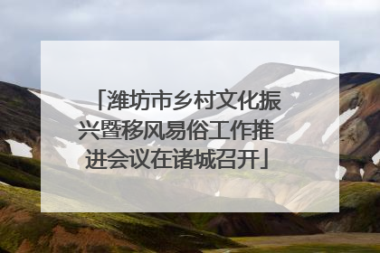 潍坊市乡村文化振兴暨移风易俗工作推进会议在诸城召开