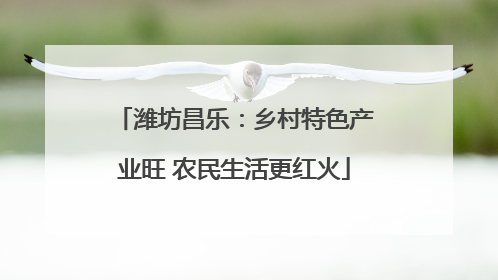 潍坊昌乐：乡村特色产业旺 农民生活更红火