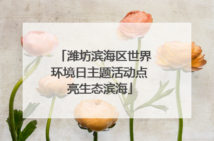 潍坊滨海区世界环境日主题活动点亮生态滨海