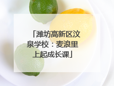 潍坊高新区汶泉学校：麦浪里上起成长课