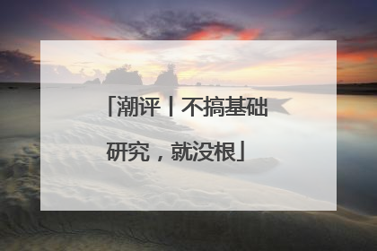 潮评丨不搞基础研究，就没根