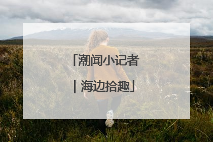 潮闻小记者｜海边拾趣