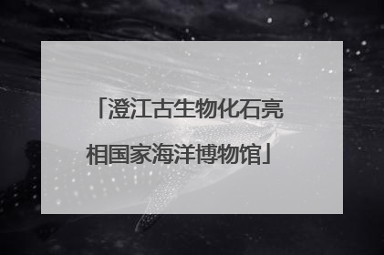 澄江古生物化石亮相国家海洋博物馆